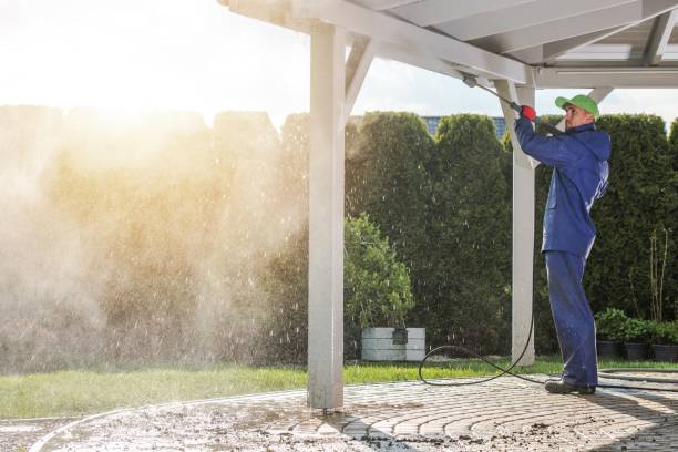 Best Soft Washing  in Decatur, IN